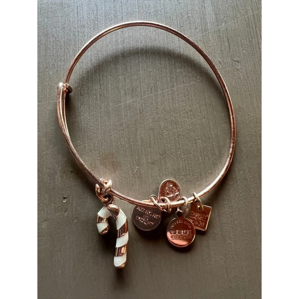 Alex and Ani Bangle Bracelet Lot 11pc Silver Gold Rose Gold Charms
